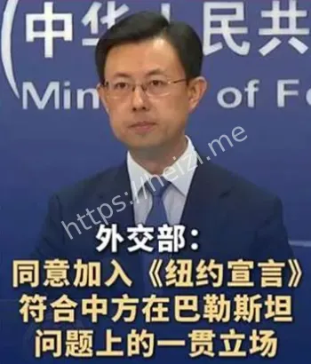 纽约宣言