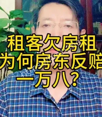 租客欠房租房东反赔一万八