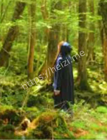 日本青木原树海